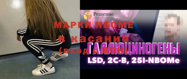 прущие грибы Медвежьегорск