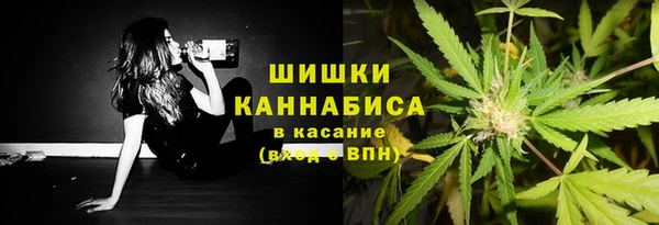 дмт Мегион