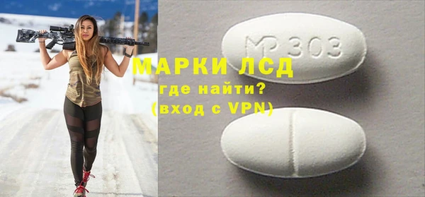 прущие грибы Медвежьегорск