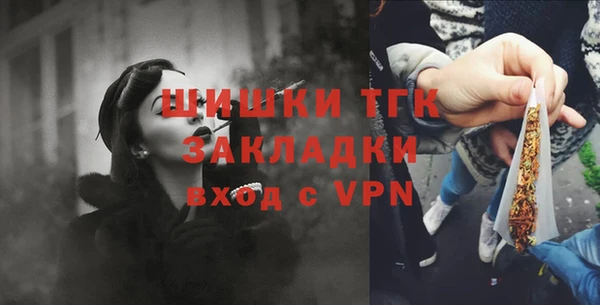 дмт Мегион