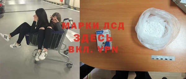 прущие грибы Медвежьегорск