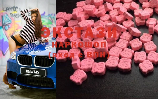 прущие грибы Медвежьегорск