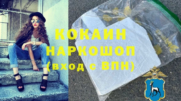 дмт Мегион
