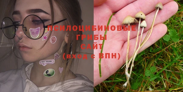 дмт Мегион