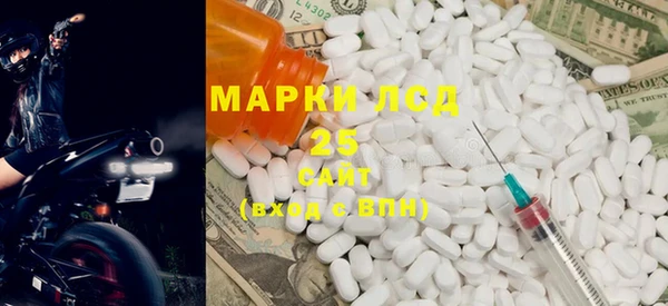 прущие грибы Медвежьегорск
