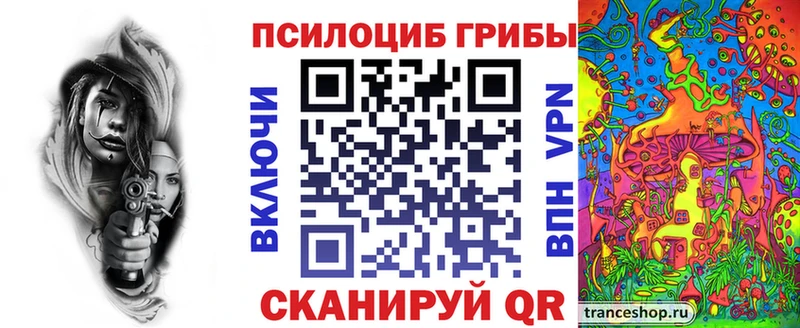 Купить закладки  Касимов  Галлюциногенные грибы Magic Shrooms 